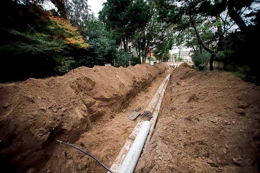 “Me dieron amplias libertades para poder trabajar”