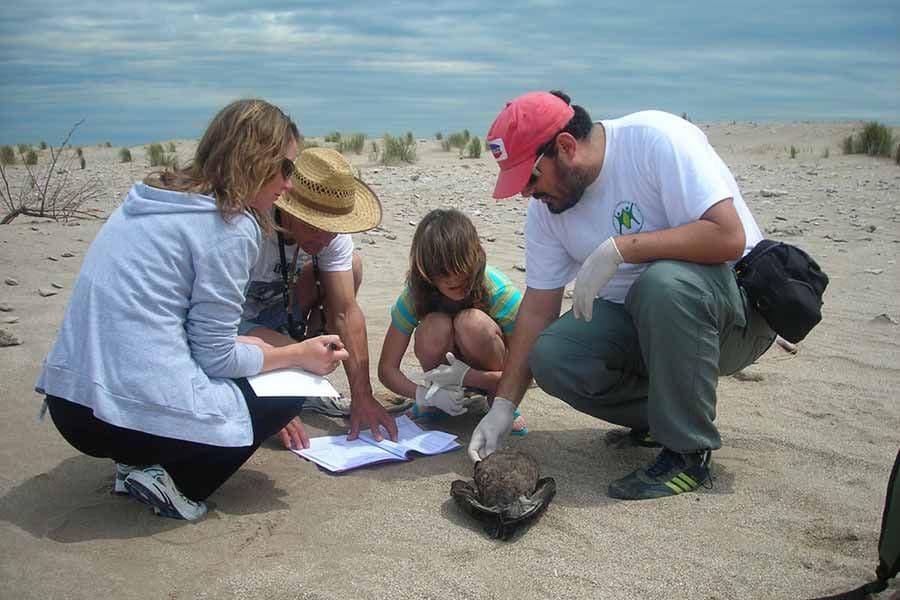 El Programa Marino de Aves Argentinas recibió una beca ambiental de National Geographic Society