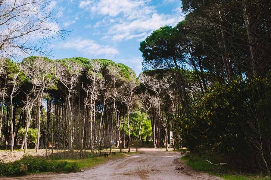 Habría una negativa por recibir el proyecto