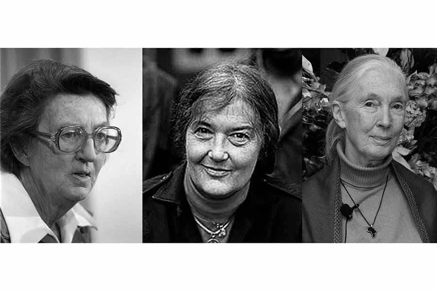 Tres mujeres que cambiaron el concepto de “humano”