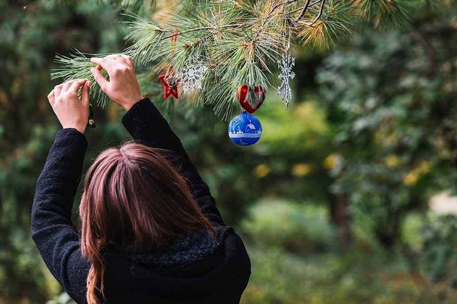 El festejo de la Navidad
