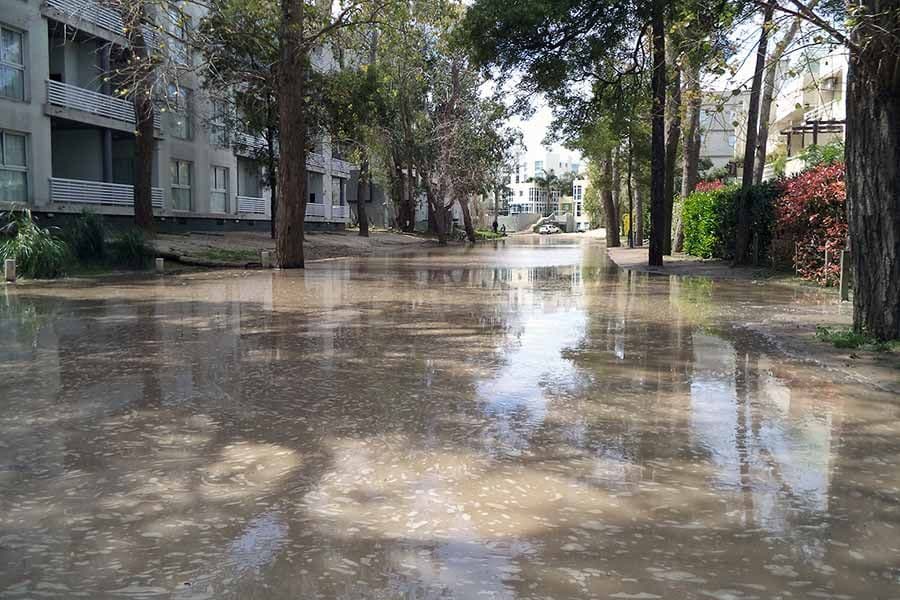 El vecino, como protagonista de las mejoras ambientales