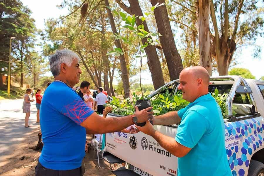 Forestarán donde haga falta y se necesite