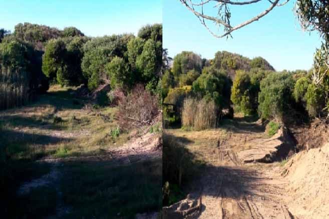La FEP presentó un proyecto superador que preserva el médano