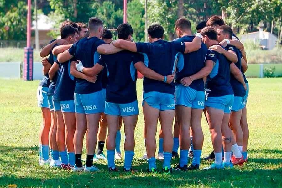 Pumas sueltos en Pinamar