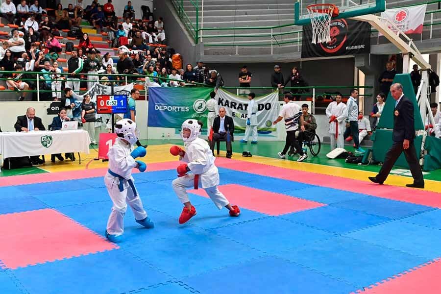 Pinamarenses presentes en el torneo nacional de karate